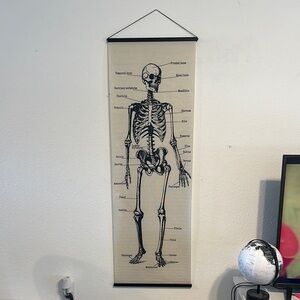 Skeleton Chart Wall Banner